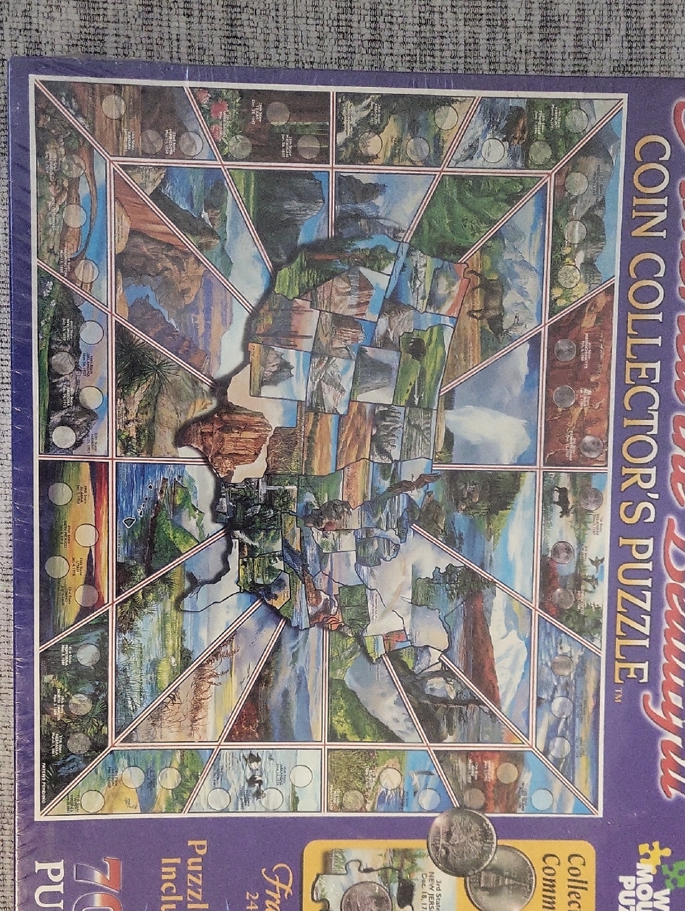 Coin Collector's Puzzle - Purple Scenic Coin Display by None
